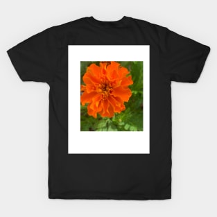 Flower T-Shirt